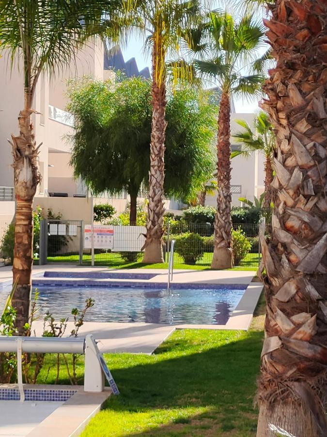 Amalia Eco Torrevieja